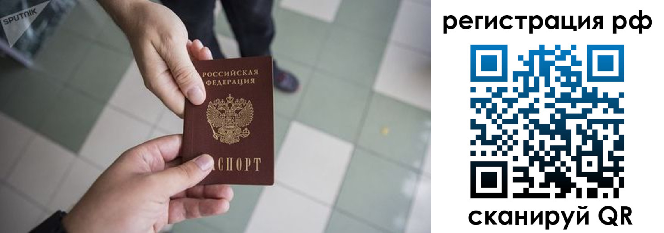 прописка гарантия в Шарыпово